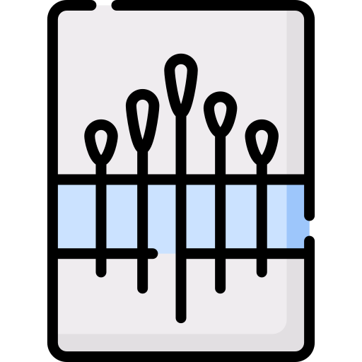 Needle Special Lineal color icon