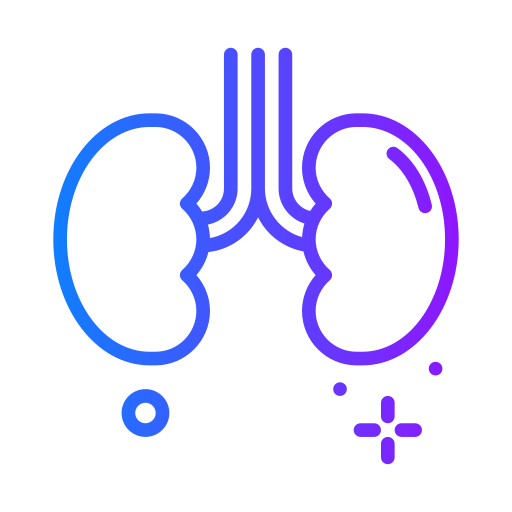 Kidneys Generic Gradient icon