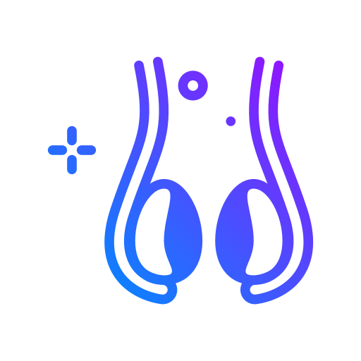 testicules Generic Gradient Icône
