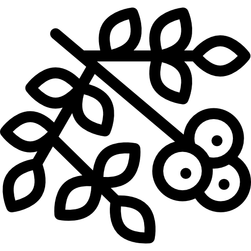 kalina Detailed Rounded Lineal ikona