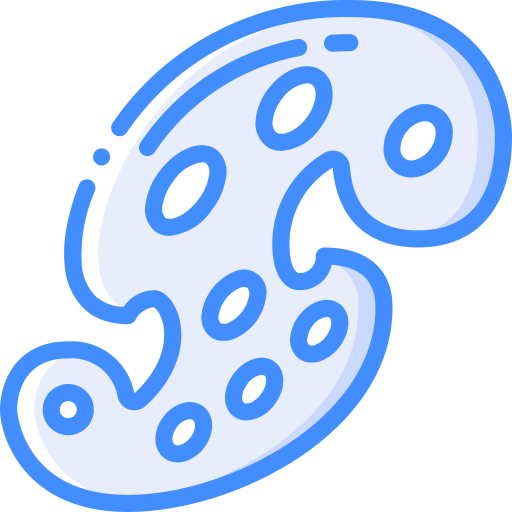 パレット Basic Miscellany Blue icon