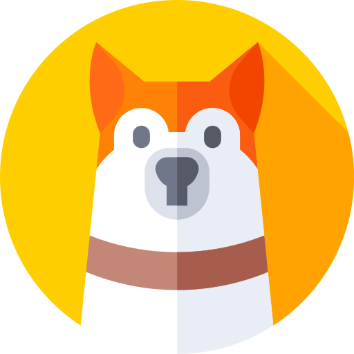 jack russell terrier Flat Circular Flat icoon
