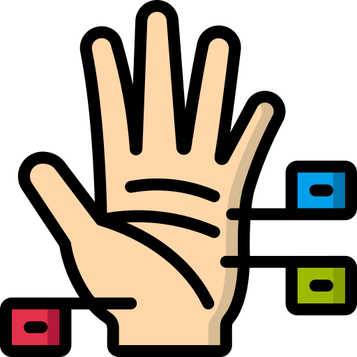 Hand Basic Miscellany Lineal Color icon