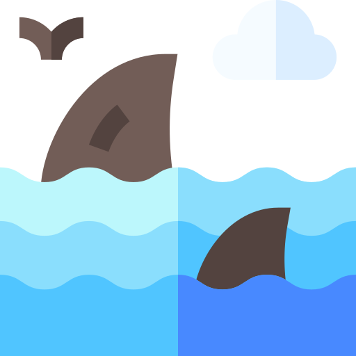 requin Basic Straight Flat Icône