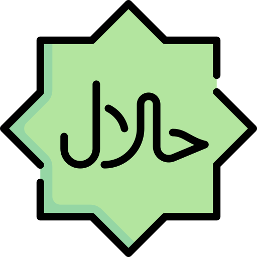 halal Special Lineal color icono