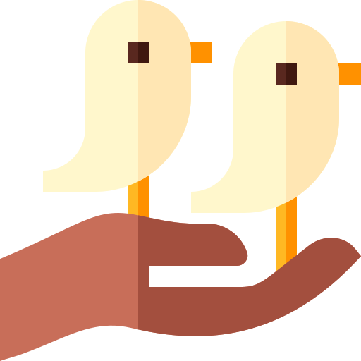 aves Basic Straight Flat icono