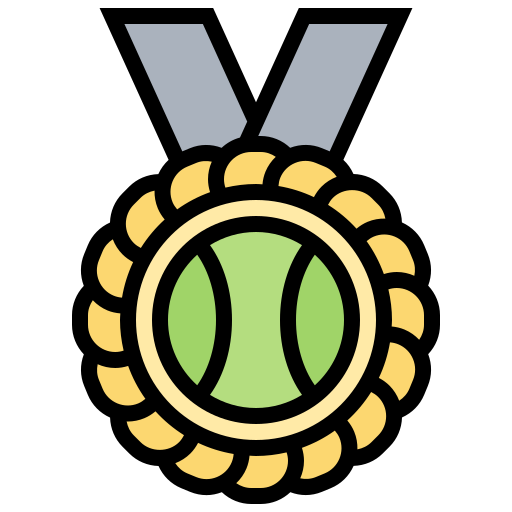メダル Meticulous Lineal Color icon