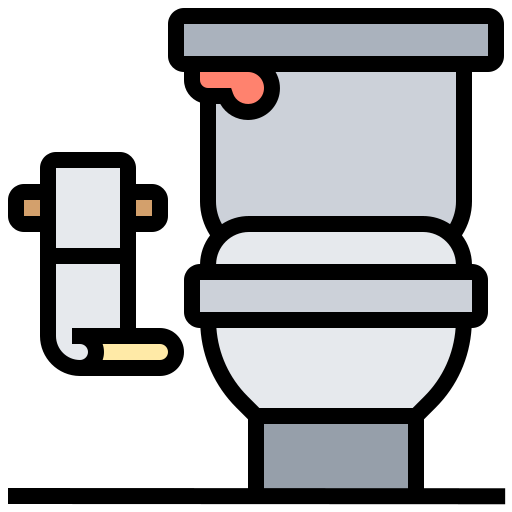 toilette Meticulous Lineal Color icon