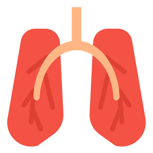 pulmão Generic Flat Ícone