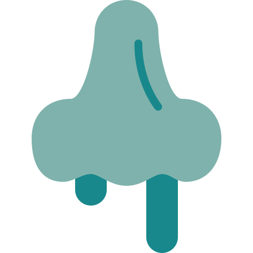 Nose Berkahicon Flat icon