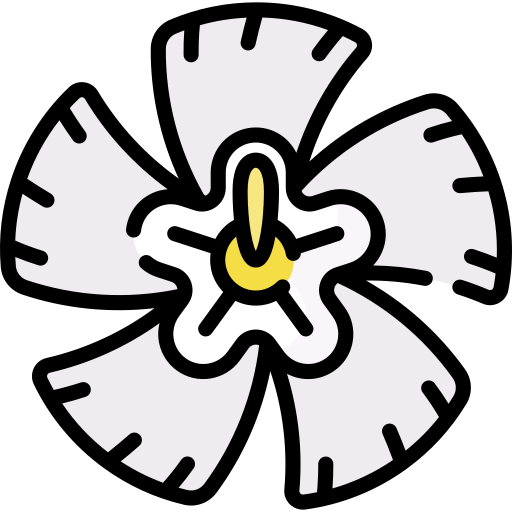 kwiat Special Lineal color ikona