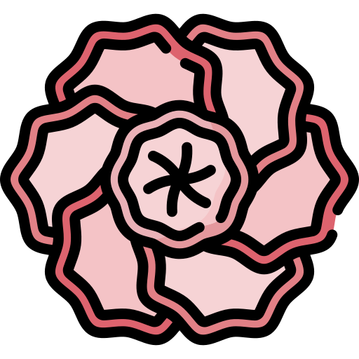 꽃 Special Lineal color icon