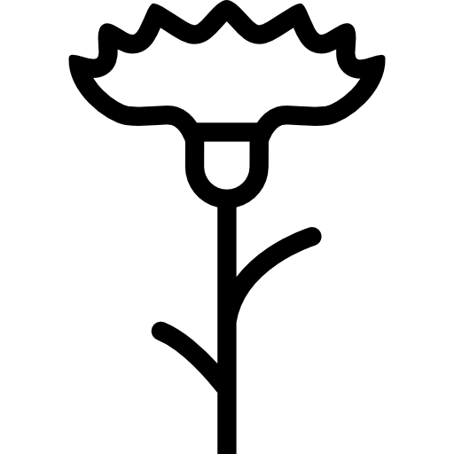 꽃 Coloring Lineal icon