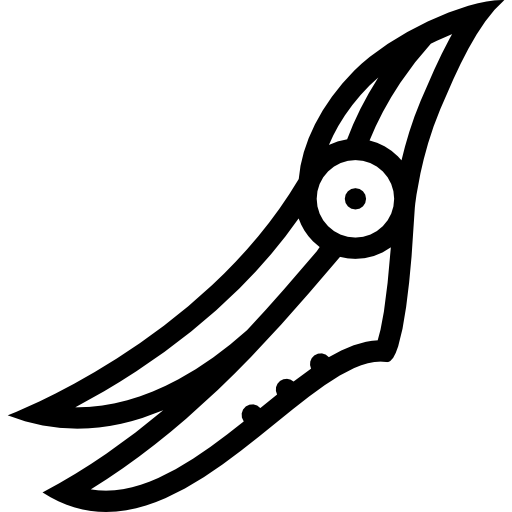 Secateurs Coloring Lineal icon