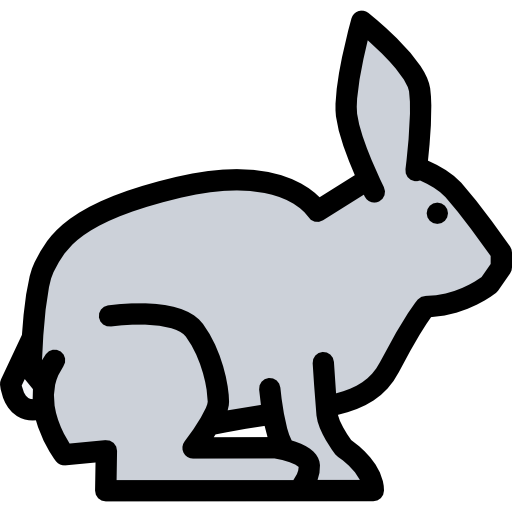 Rabbit Coloring Color icon