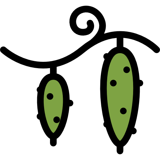 Cucumbers Coloring Color icon