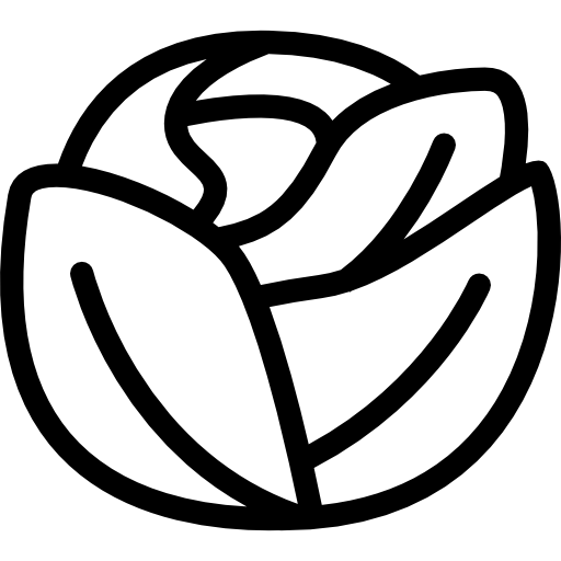 Cabbage Coloring Lineal icon