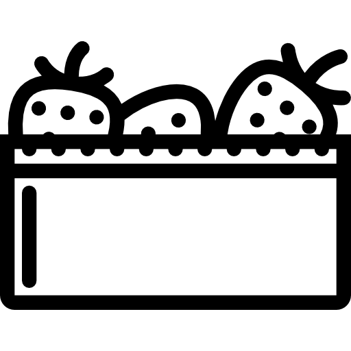 Strawberry Coloring Lineal icon