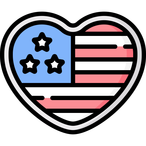 Usa Special Lineal color icon