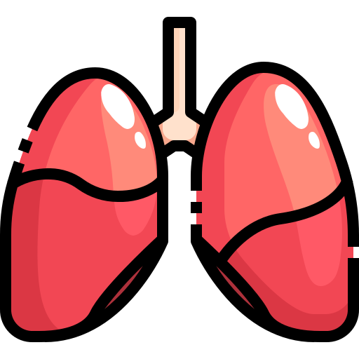 肺 Justicon Lineal Color icon