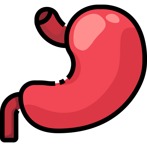 Stomach Justicon Lineal Color icon