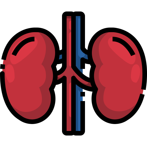 腎臓 Justicon Lineal Color icon