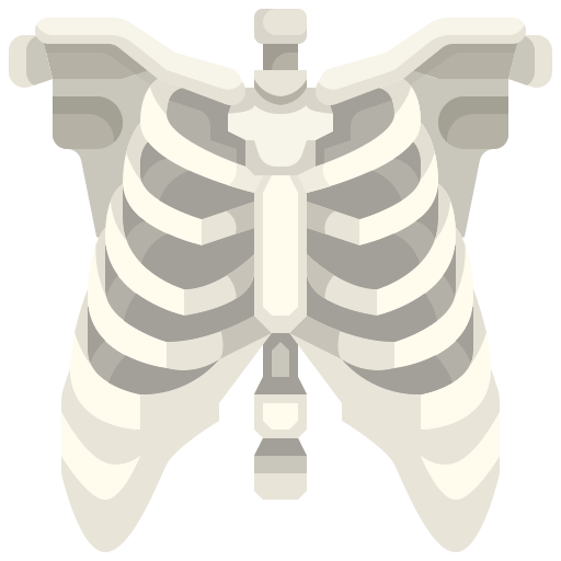 skelett Justicon Flat icon