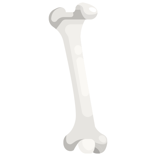 Bone Justicon Flat icon