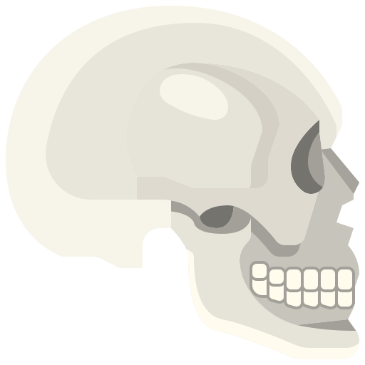 cráneo Justicon Flat icono