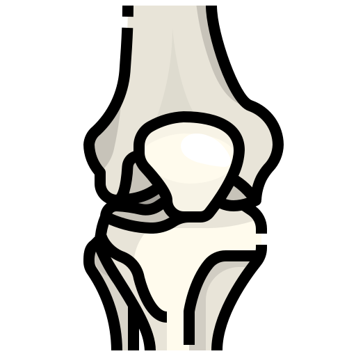Knee Justicon Lineal Color icon