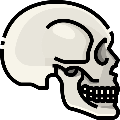 cranio Justicon Lineal Color icona