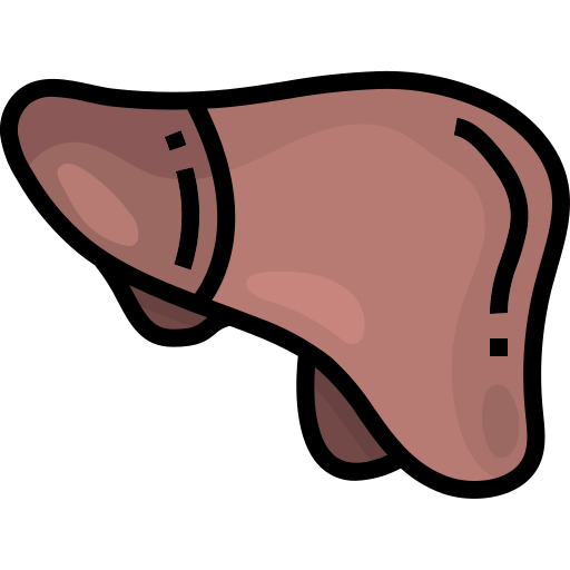 hígado Justicon Flat icono