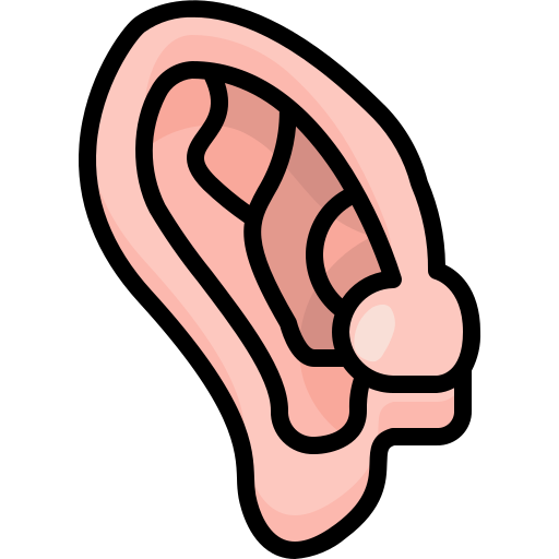 orecchie Justicon Flat icona