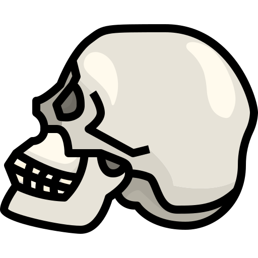 Skull Justicon Flat icon