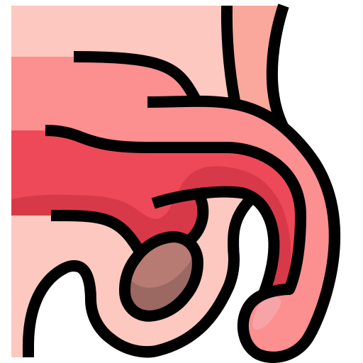 睾丸 Justicon Flat icon