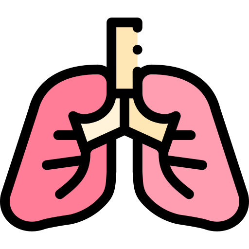pulmões Detailed Rounded Lineal color Ícone