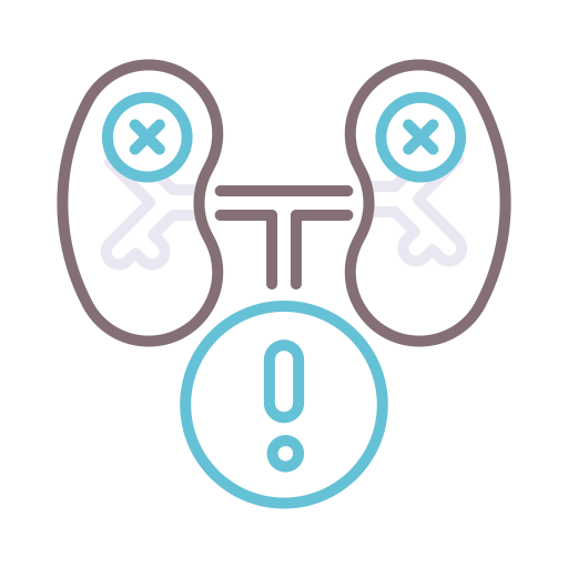 Kidney Flaticons Lineal Color icon