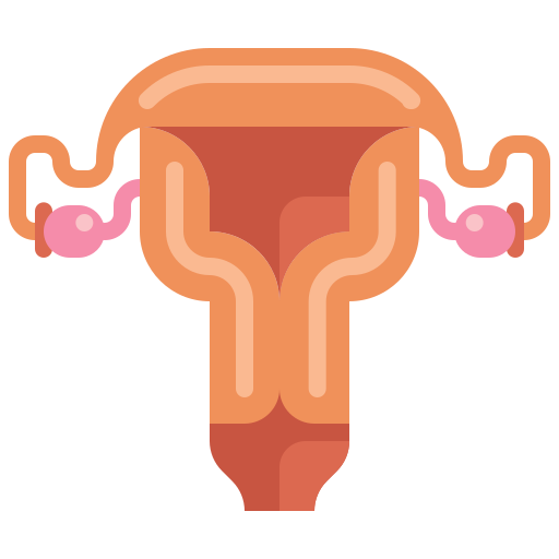 Uterus Flaticons Flat icon