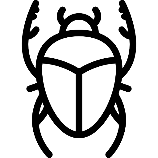 escarabajo Coloring Lineal icono