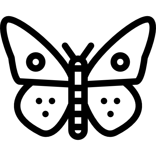 borboleta Coloring Lineal Ícone
