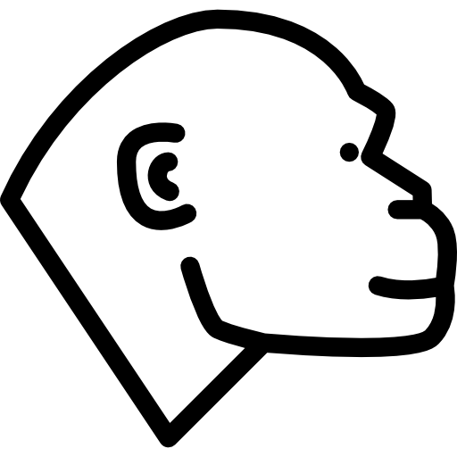 gorilla Coloring Lineal icon