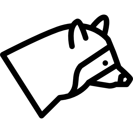 mapache Coloring Lineal icono