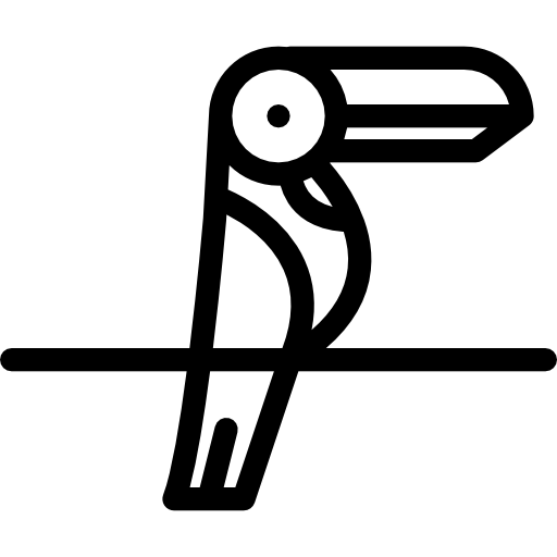 Toucan Coloring Lineal icon