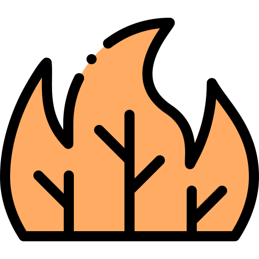 pożar lasu Detailed Rounded Lineal color ikona