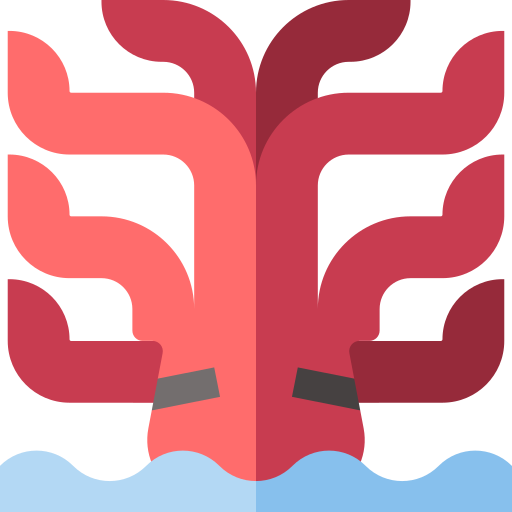 kraken Basic Straight Flat icono