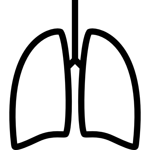 Lungs Coloring Lineal icon