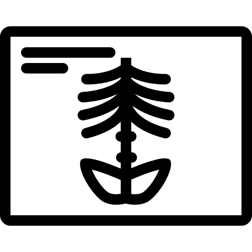 X ray Coloring Lineal icon