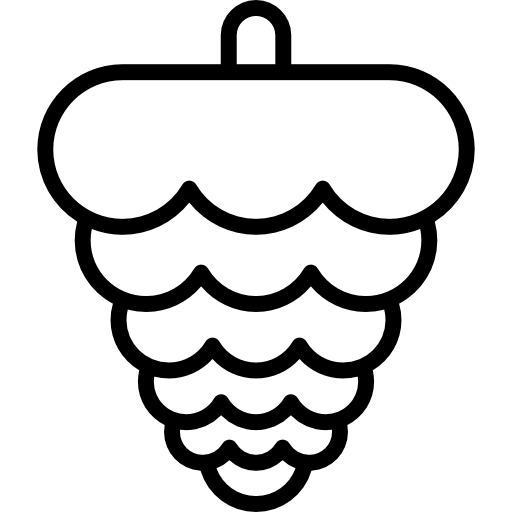 piñón Special Lineal icono