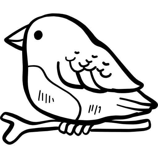 uccello Hand Drawn Black icona