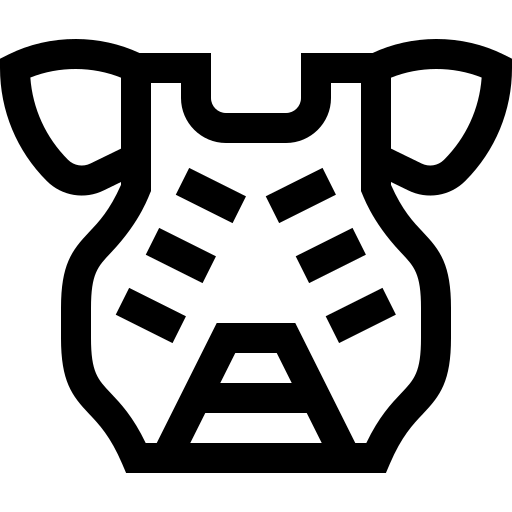 protezione del petto Basic Straight Lineal icona